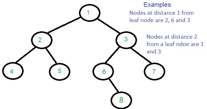 Leaf node