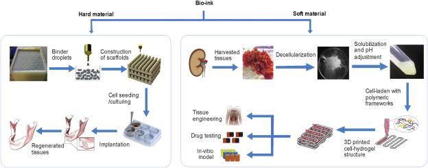 A brief analysis of biological 3D printing