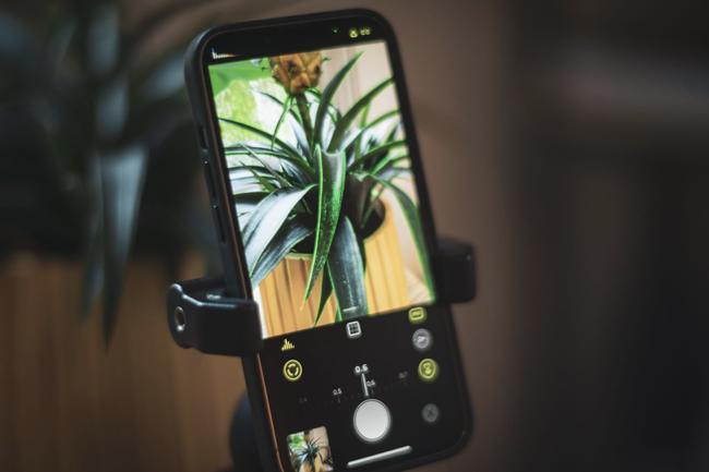  Halide offers a powerful Macro mode to older iPhones |  iGeneration
