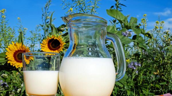 La caseína de la leche, ¿es distinta la de vaca, oveja o cabra? ¿Cómo afectan cada una a la inflamación del intestino?