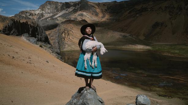 Pérou : au secours des alpagas | National Geographic National Geographic National Geographic