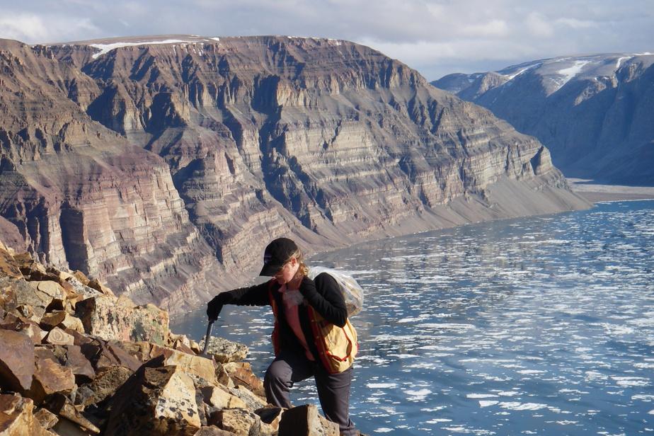 Oldest animal fossil found in Canada