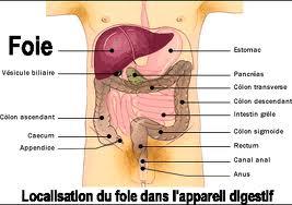 Crise de foie : causes, que manger ?