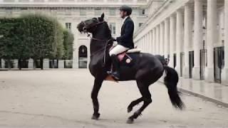 The nocturnal equestrian ride of Hermès - Elle