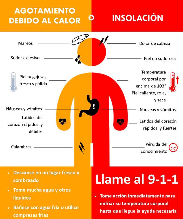 Alimentos para mantener los huesos fuertes Cómo combatir el sudor en verano Trucos para cuidar el pelo a partir de los 50 Provincia solo testeará a mayores de 60, con factores de riesgo o embarazadas