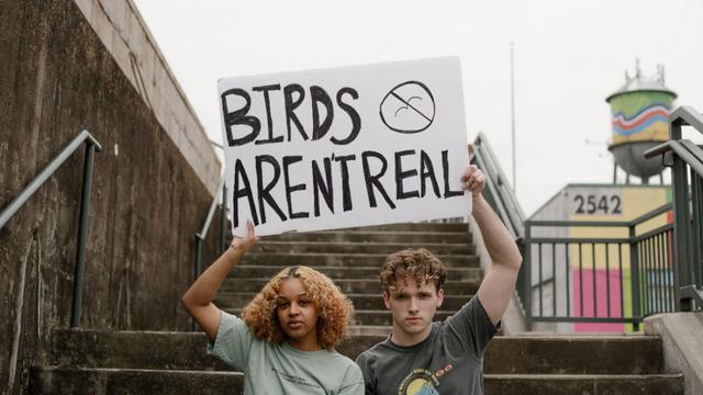  Aren't the birds real?  What's behind a Gen Z conspiracy theory