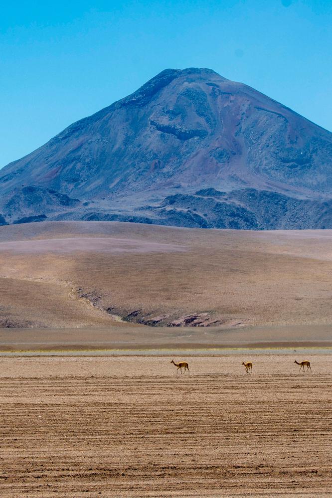 El desierto de Atacama se ha convertido (tristemente) en un basurero textil