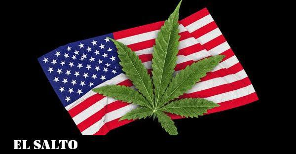 Legalización del cannabis
La otra urna: cinco estados legalizan la marihuana y uno despenaliza la posesión de todas las drogas