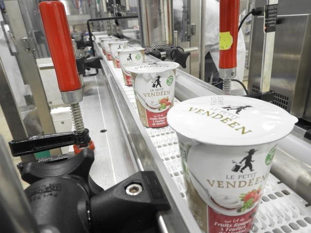 REPORT: now yogurt, the Petit Vendéen, we know where it comes from again!