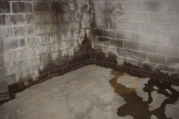 Comment repérer une infiltration d’eau en sous-sol ?