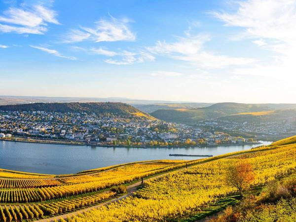 Genussregion Rheingau:: Warum sich die Reise dorthin lohnt - Unterhaltung - Stuttgarter Nachrichten