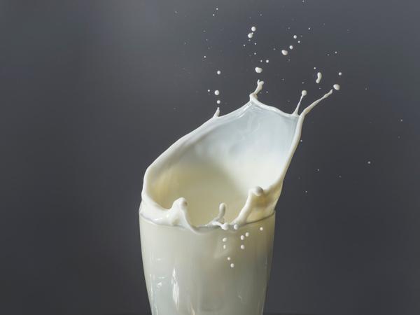 Warum ist pflanzliche Milch teurer als Kuhmilch? - bildderfrau.de