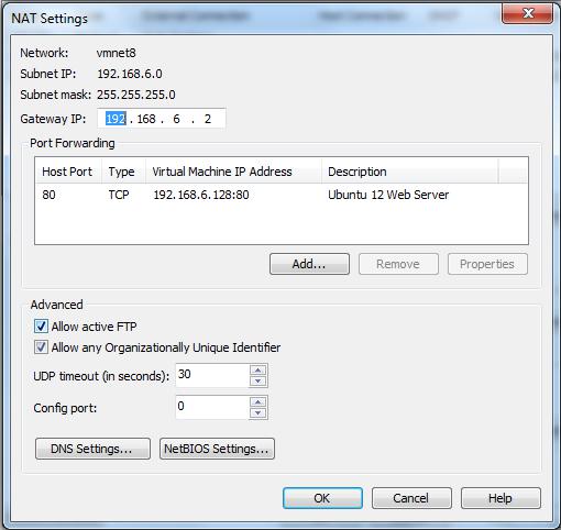 how to access web server running in vmware