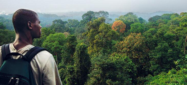 Compartilhe a felicidade com a proteção da floresta tropical