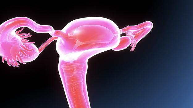 Genetische Einflüsse auf die Menopause identifiziert
