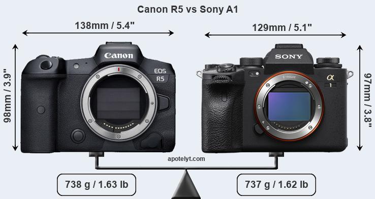 Sony a1 vs Canon R5 – Which 8K camera to choose?