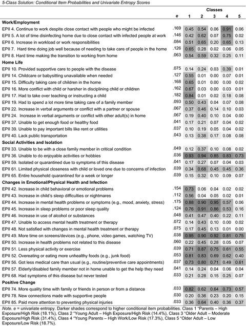 Profiling COVID-related experiences in the United States with the Epidemic-Pandemic Impacts Inventory: Linkages to psychosocial functioning PEER REVIEW  DATA AVAILABILITY STATEMENT