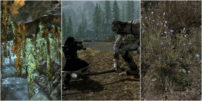 gamerant.com Skyrim: The Health Potion Recipe & How To Craft It