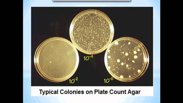 Plate count