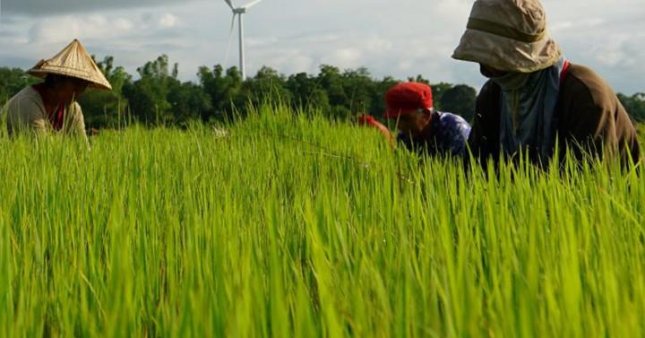 Smart Agri Tech disponible pour les petits agriculteurs philippins – OpenGov Asia