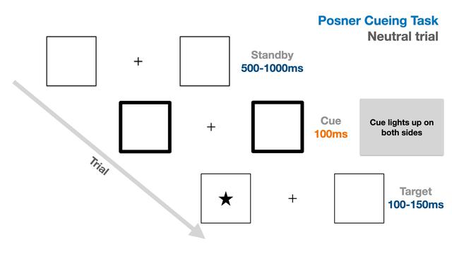 Posner experiment