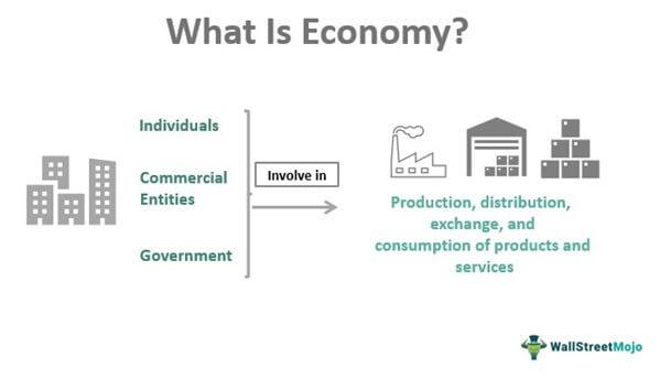 economic structure