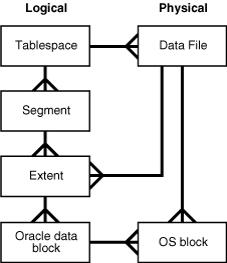 File logical structure