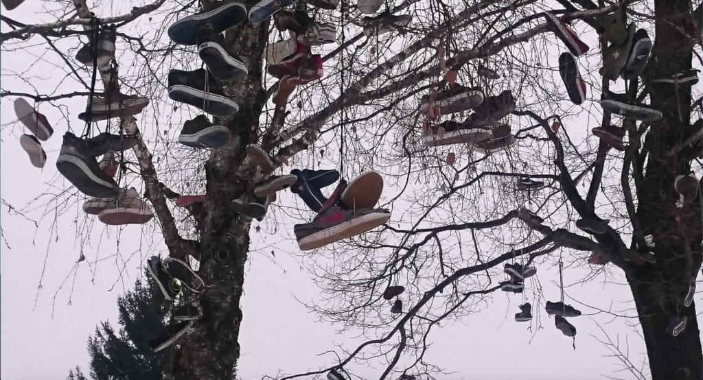Wolfsburg - Die alten Schuhe landen im Baum