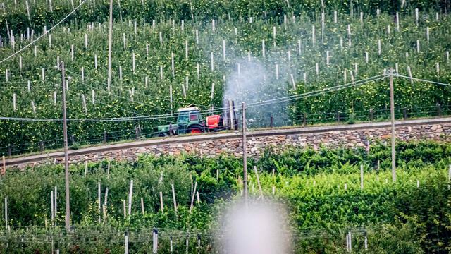 Contra el veneno - disputa de manzanas en Tirol del Sur