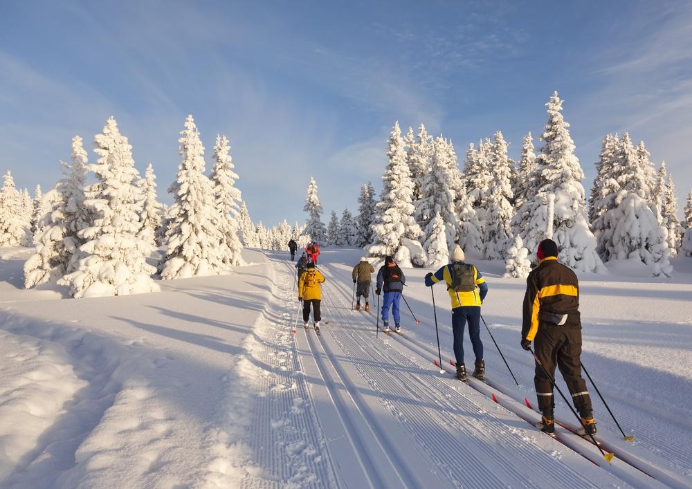  Lifestyle Lifestyle Do you want to try cross-country skiing?  This is what you need to get started