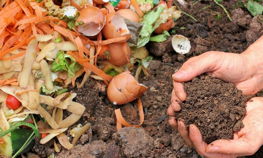 Microplásticos en el compost, un nuevo desafío para la economía circular