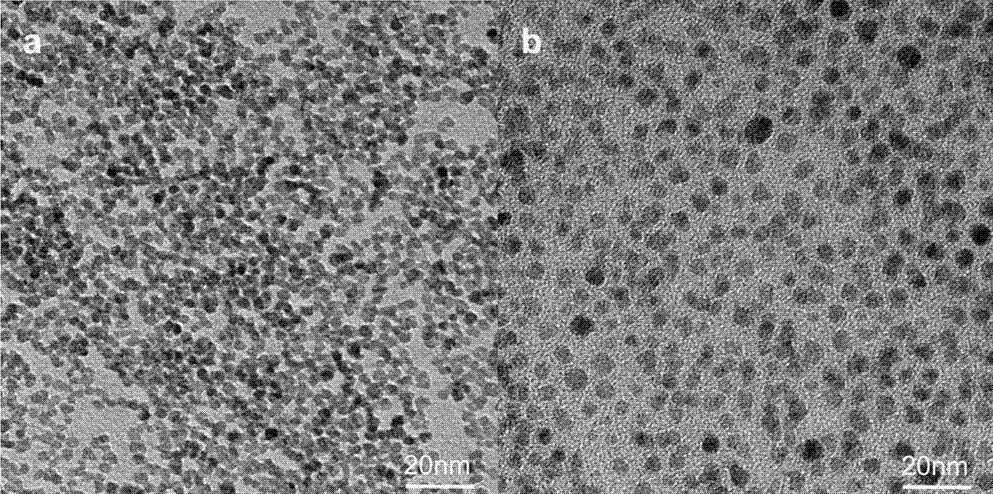 Qiyue Province Custom Synthesis of Mesoporous Composite Fe | Mesoporous Fe3O4 / MnO2 Composite 