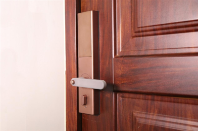 Luke smart door lock T1 pro evaluation: a savior for obsessive-compulsive disorder that can alarm by itself