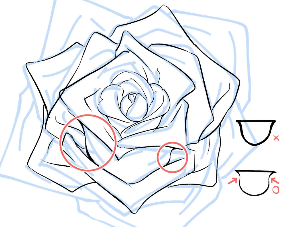 How to Draw a Rose | Art Rocket 