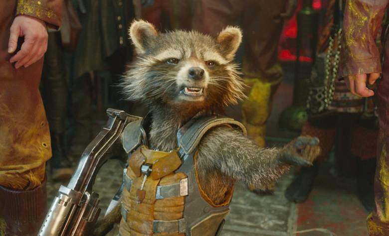 James Gunn revela que a voz do Rocket Raccoon de Bradley Cooper está irritada com pelo menos um executivo da Marvel