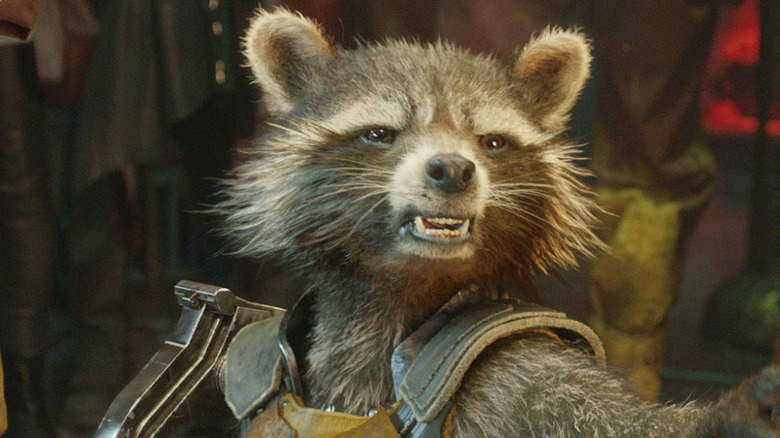 Why Doesn't Bradley Cooper Play Rocket Raccoon On The ...