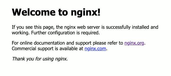 Understanding the default Nginx virtual host (or server ...