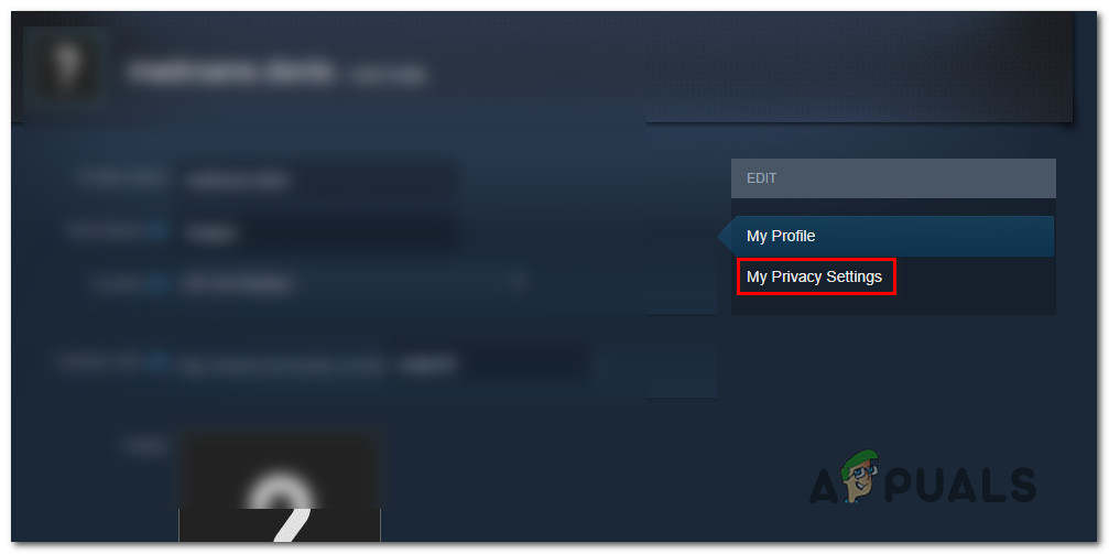 How to Hide Steam Activity from Friends - Appuals.com 
