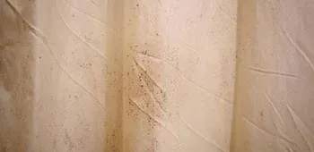 How to remove black mold from shower curtains