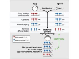 Genetic Programming - Techintroduce