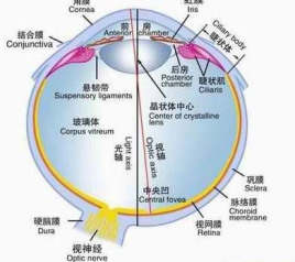 Refractive system