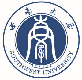 Università del sud-ovest