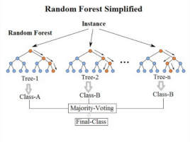 Random forest 