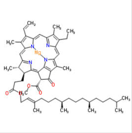 Klorofylli a