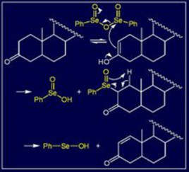 Epoxidation reaction 