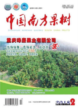 Chinese southern fruit tree