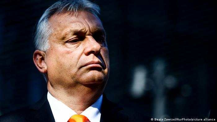 Hungría: un antipolítico desafía Orban