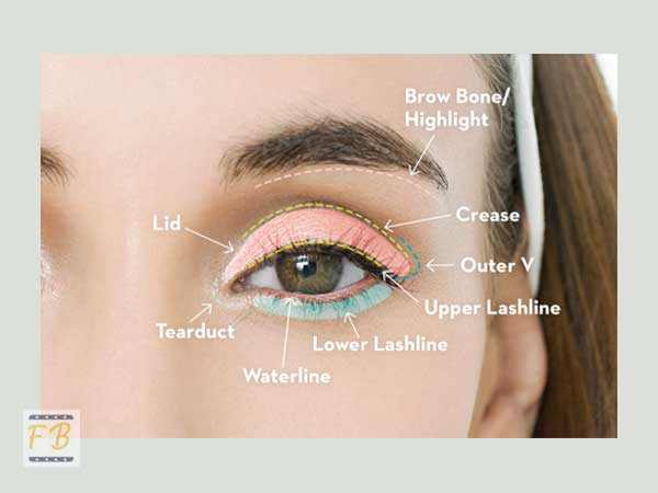 6 Right Steps to Apply Eye Shadow Properly