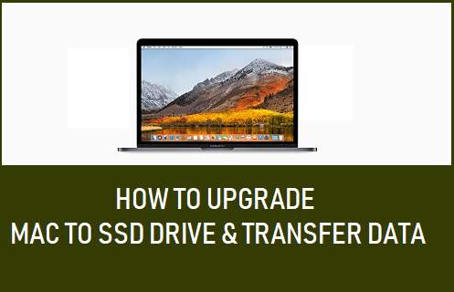 How to Upgrade Mac to SSD Drive and Transfer Data