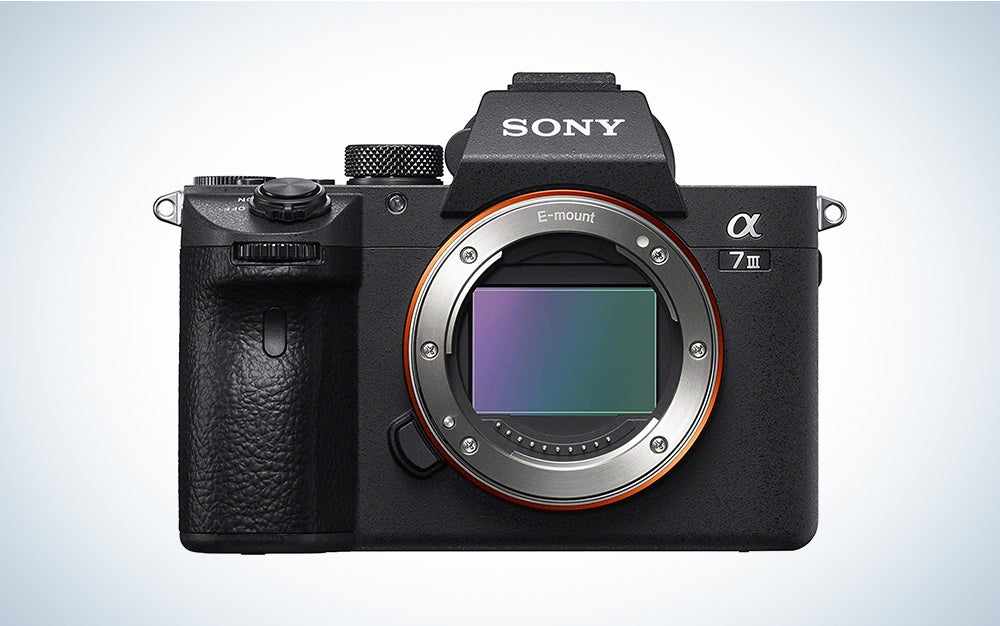 Le meilleur appareil photo Sony pour tout photographe